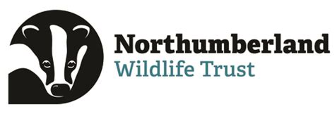nwt urban dictionary|Northumberland Wildlife Trust .